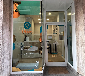 Vive Pet Chamberí | Guardería para perros